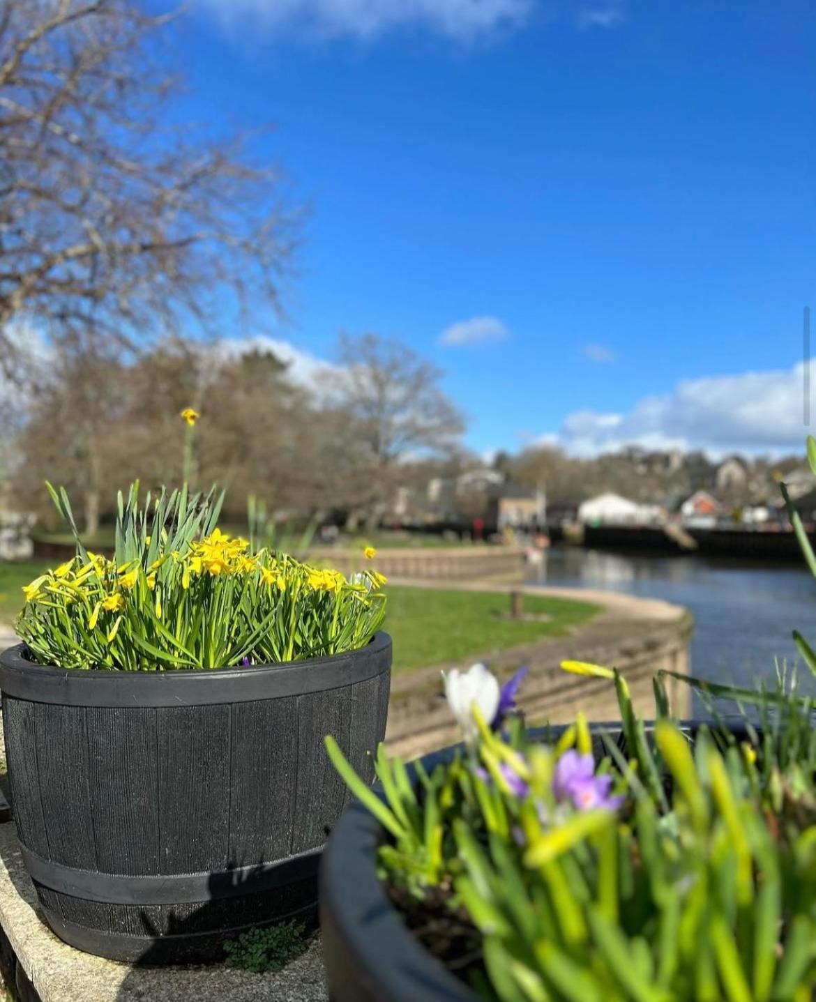 The Steam Packet Inn Тотнес Экстерьер фото